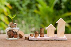 family office mexico